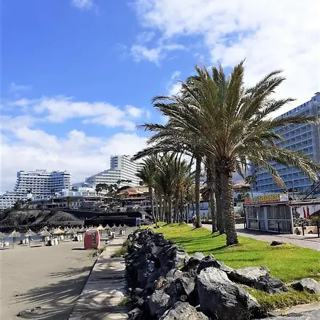 Ponderosa 3* プラヤ・デ・ラス・アメリカス